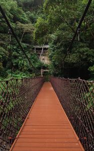 Preview wallpaper bridge, trees, hanging, weaving