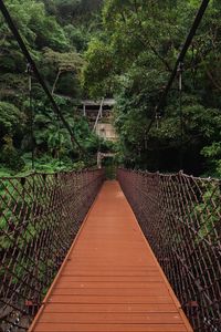 Preview wallpaper bridge, trees, hanging, weaving