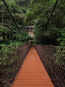 Preview wallpaper bridge, trees, hanging, weaving