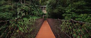 Preview wallpaper bridge, trees, hanging, weaving