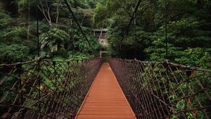 Preview wallpaper bridge, trees, hanging, weaving