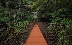 Preview wallpaper bridge, trees, hanging, weaving