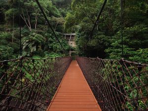 Preview wallpaper bridge, trees, hanging, weaving