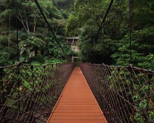 Preview wallpaper bridge, trees, hanging, weaving