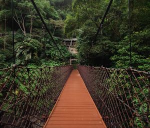 Preview wallpaper bridge, trees, hanging, weaving