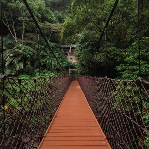 Preview wallpaper bridge, trees, hanging, weaving