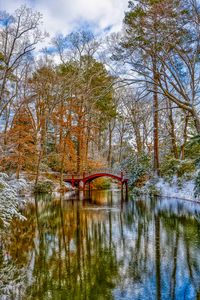 Preview wallpaper bridge, trees, lake, snow, winter, nature, landscape