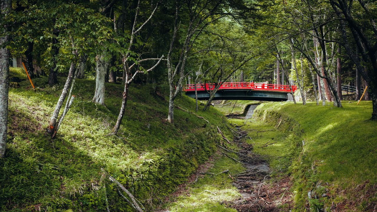 Wallpaper bridge, trees, nature, grass
