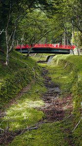 Preview wallpaper bridge, trees, nature, grass