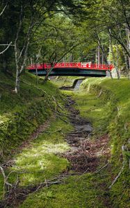 Preview wallpaper bridge, trees, nature, grass