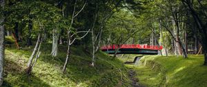 Preview wallpaper bridge, trees, nature, grass