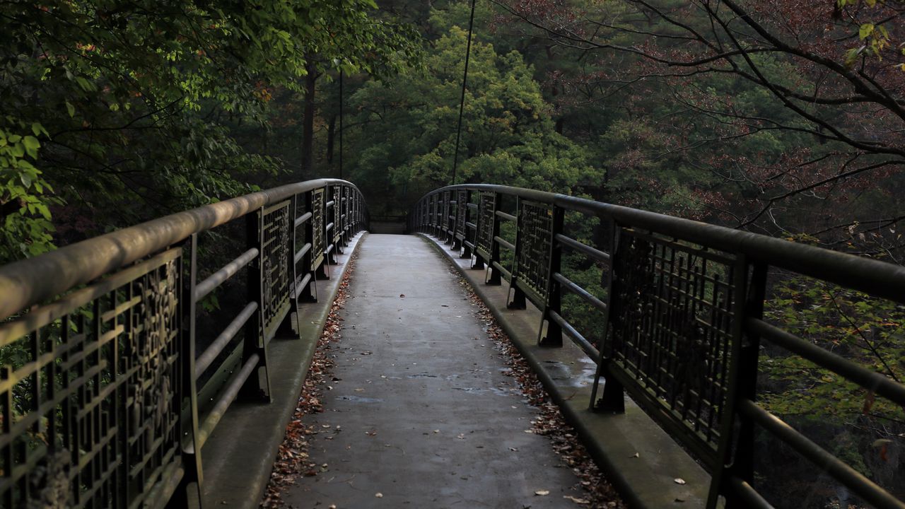 Wallpaper bridge, trees, nature, landscape