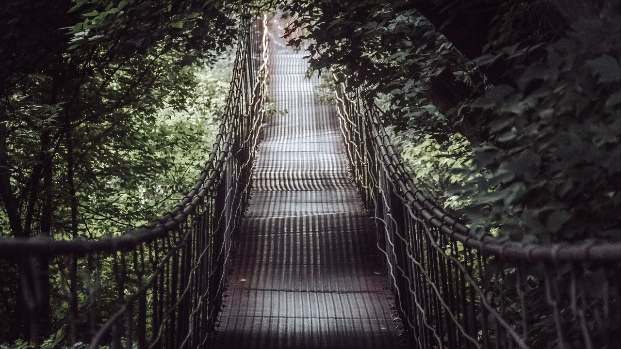 Wallpaper bridge, trees, nature