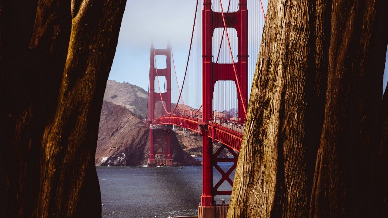 Wallpaper bridge, trees, shore, water, nature
