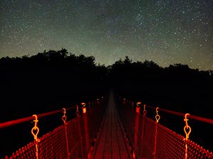 Preview wallpaper bridge, trees, starry sky, stars, dark
