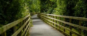 Preview wallpaper bridge, trees, tunnel, forest