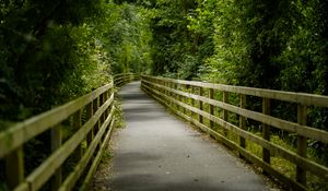 Preview wallpaper bridge, trees, tunnel, forest