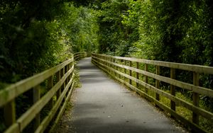 Preview wallpaper bridge, trees, tunnel, forest