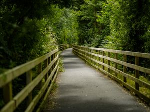 Preview wallpaper bridge, trees, tunnel, forest