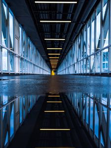 Preview wallpaper bridge, tunnel, road, puddle, reflection