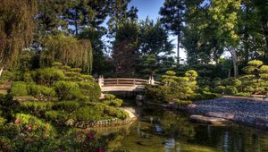 Preview wallpaper bridge, vegetation, trees, green, pond, pebble