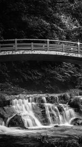 Preview wallpaper bridge, waterfall, black and white, trees