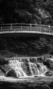 Preview wallpaper bridge, waterfall, black and white, trees