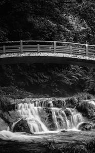 Preview wallpaper bridge, waterfall, black and white, trees