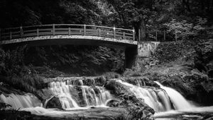 Preview wallpaper bridge, waterfall, black and white, trees