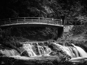 Preview wallpaper bridge, waterfall, black and white, trees