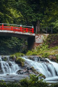 Preview wallpaper bridge, waterfall, forest, grass, trees