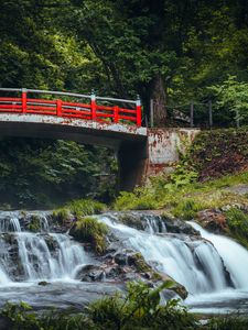 Preview wallpaper bridge, waterfall, forest, grass, trees