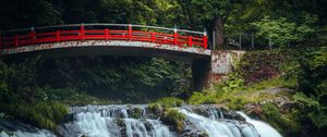 Preview wallpaper bridge, waterfall, forest, grass, trees