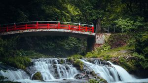 Preview wallpaper bridge, waterfall, forest, grass, trees