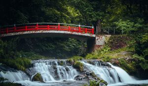 Preview wallpaper bridge, waterfall, forest, grass, trees