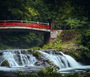 Preview wallpaper bridge, waterfall, forest, grass, trees