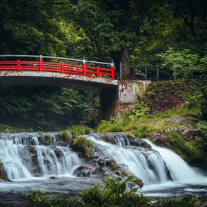 Preview wallpaper bridge, waterfall, forest, grass, trees