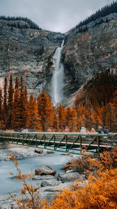 Preview wallpaper bridge, waterfall, river, rock, trees, nature