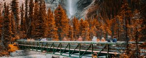 Preview wallpaper bridge, waterfall, river, rock, trees, nature