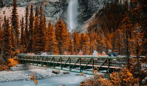 Preview wallpaper bridge, waterfall, river, rock, trees, nature