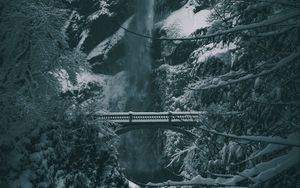 Preview wallpaper bridge, waterfall, snow, trees, winter