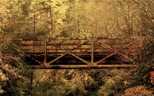 Preview wallpaper bridge, wood, trees, crossbeams