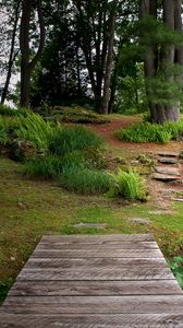 Preview wallpaper bridge, wooden, garden, vegetation, greens