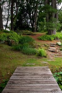 Preview wallpaper bridge, wooden, garden, vegetation, greens