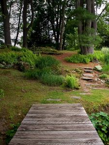 Preview wallpaper bridge, wooden, garden, vegetation, greens