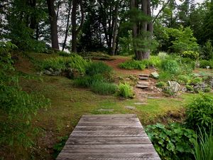 Preview wallpaper bridge, wooden, garden, vegetation, greens