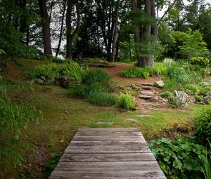 Preview wallpaper bridge, wooden, garden, vegetation, greens