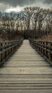 Preview wallpaper bridge, wooden, nature, trees, reed