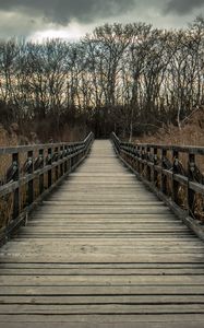 Preview wallpaper bridge, wooden, nature, trees, reed