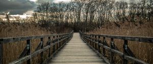 Preview wallpaper bridge, wooden, nature, trees, reed